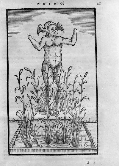 Homme sans bras - i "The Transmutatione Metallica Sogni Tre" av Giovanni Battista Nazari, redigerad i Brescia 1599 av Unknown artist