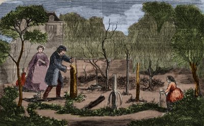 Trädgårdsodling: huvudsakliga metoder för växttransplantation. 1860 gravyr. av Unknown artist