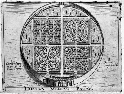 Garden of Padua: Medical Garden of Padua. av Unknown artist