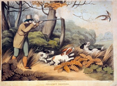 Jakt på fasaner i England. 1800-talsgravyr. Gien, jaktmuseum av Unknown artist