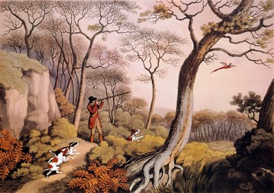 Jakt på fasaner i England. 1800-talsgravyr. Gien, jaktmuseum av Unknown artist
