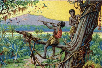 Jaktteknik. Jaga kolibrier i den polynesiska skärgården: invånarna använder bett. Kromolitografi av 1800-talet. av Unknown artist