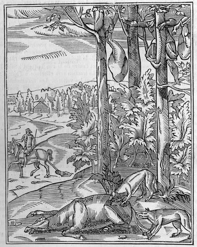 Jaga vargen: utkik. Faksimil (Facsimile) av en trägravyr från 1500-talet. Gravyr i "" Nature: granskning av vetenskaperna och deras tillämpningar på konst och industri "" av den 9 april 1892. av Unknown artist