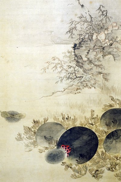 Hwajodo av Unknown artist