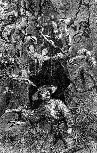 Illustration The Naturalist on the River Amazon" av Henry Walter Bates (gravyr) av Unknown artist