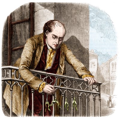 Illustration av experiment av Luigi Galvani, italiensk fysiker och läkare (1737 - 1798) med grodor. av Unknown artist