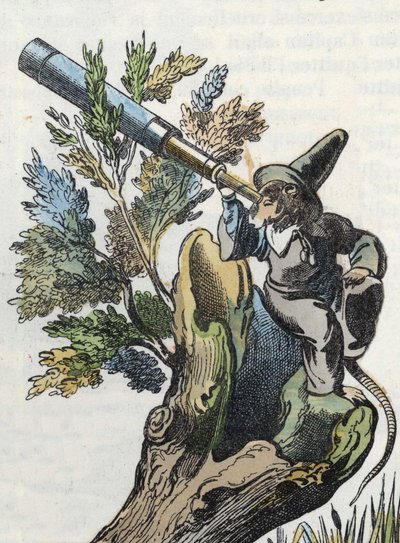 Illustration av berättelsen "Den fruktansvärda Raminagrobis och mössen""" karaktär ritar fabler av Jean de la Fontaine. I "" Sagor från hemmet för de minsta"". Anonym gravyr från 1800-talet. av Unknown artist