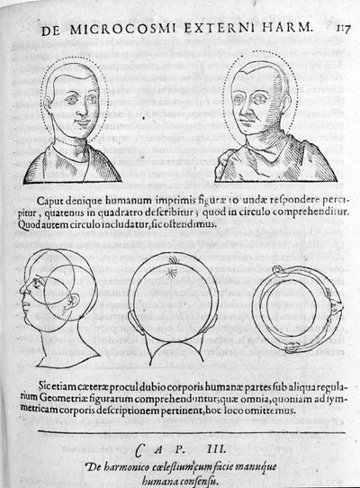 Bild av fysionomi från "Collectio Operum" av Robert Fludd (Robertus de Waves). London 1617 av Unknown artist