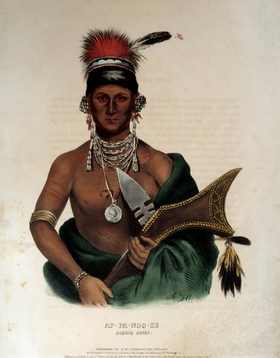 Indian of America: "" Porträtt av en indisk chef för Saukie Ap Pa Noo See"" Anonym litografi av 1836 La Rochelle, Musee du Nouveau Monde av Unknown artist