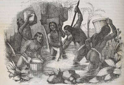 Indianer från ön Hispaniola panorerar efter guld av Unknown artist