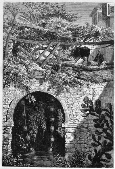 Bevattning i Egypten: en oxe roterar ett hjul runt vilket är lindade hinkar. Gravyr i "" Le Monde Illustré"" nr 1313 av 27 maj 1882. av Unknown artist
