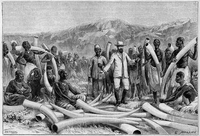 Elfenben i Afrika: Elefantförsvar samlade av Eduard Schnitzer av Unknown artist