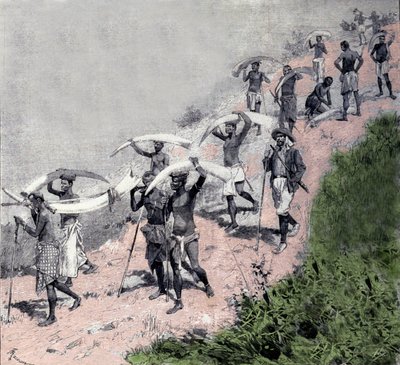 Elfenbenshandel: karavan av kongolesiska bärare bär elefantförsvar. Gravyr av 1800-talet av Unknown artist
