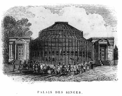 Jardin des Plantes i Paris 1861: apornas palats. av Unknown artist