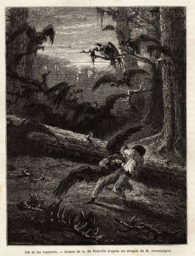 Job (redaktörens reskamrat), attackerad av gamar. Gravyr för att illustrera berättelsen Quatre mois en Florida, av M. Pousselgue, 1851-1852, publicerad i "" le tour du monde", under ledning av D