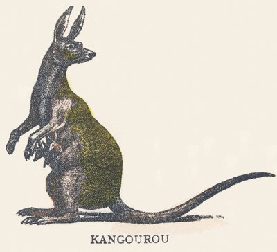 K: känguru av Unknown artist