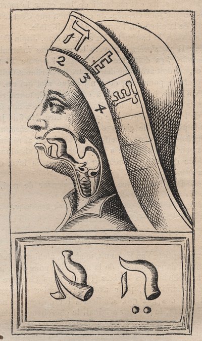 Kabbala - Kabbalale - Illustration från: "The Alphabet of the Hebrew alfabet" (The Alphabet of Nature) av Francis Mercury van Helmont (1618-1699) (Francois Mercure Van Helmont) - I detta verk hävdade van Helmont att varje lett av Unknown artist