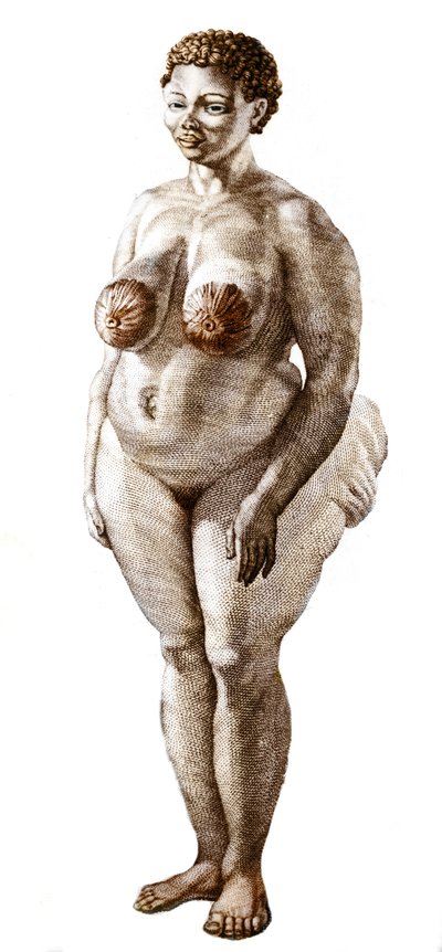 La Venus Hottentote, kvinna av rasen Bochiman (The Hottentot Venus,) gravyr från 1815. av Unknown artist