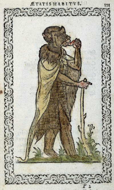 Den stående monge - i "Habits et effigies"" av Jean Sulperius av Unknown artist