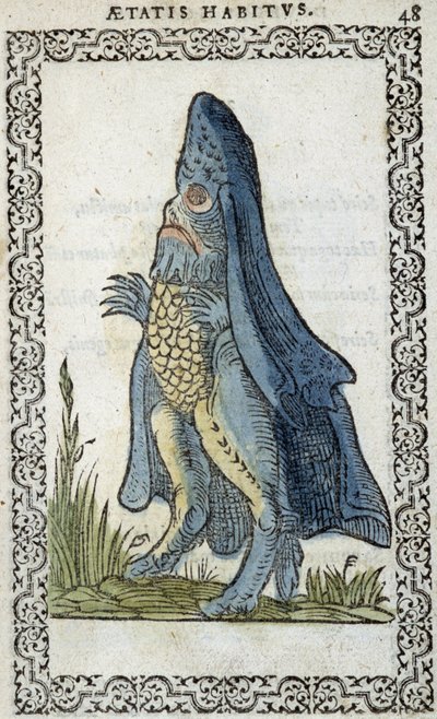 Sjöborren - i "" Habits and effigies"" av Jean Sluperius av Unknown artist