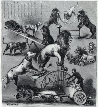 Les lions klänningar du Nouveau Cirque à Paris: olika tricks av ett akrobatiskt nummer med lejon, tamare och hundar. Gravyr i "" La Nature"" 1890. Privat samling. av Unknown artist
