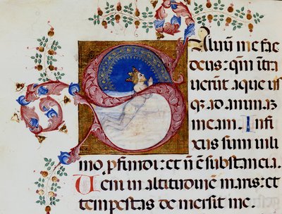 Lettrine S: David in the Deep Light - Antiphonary of the 15th century. Kommunal Bibl. av Rimini. av Unknown artist