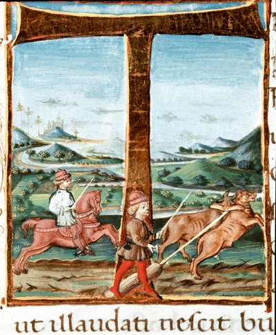 Lettrine T dekorerad av en ryttare och en tränare av oxar - Miniatyr hämtad från "" The Bucoliques"" (Eglogues) av Virgil (Publius Vergilius Maro) (70-19 f.Kr.) (Ms IV E.12). 1400-talet Neapel, Nationalbiblioteket av Unknown artist