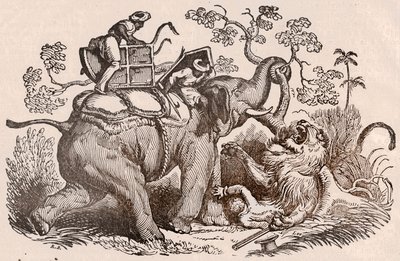 Lejonjaktsscen: jägaren, elefantens grav, är nu i lejonets klor (gravyr) av Unknown artist
