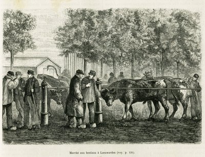 Boskapsvandring i Leeuwarden (Nederländerna). Gravyr för att illustrera historien La Frise, baserad på ett förhållande från en holländsk tidning, i le tour du monde 1886, regisserad av Edouard Charton (1807-1890), Hachette, Paris. av Unknown artist