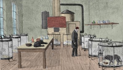 Louis Pasteur (1822-1895), fransk kemist och fysiker i sitt laboratorium i Paris. av Unknown artist