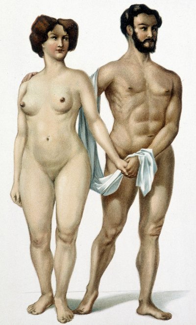 Man och kvinna - medicinbok, sent 1800-tal av Unknown artist