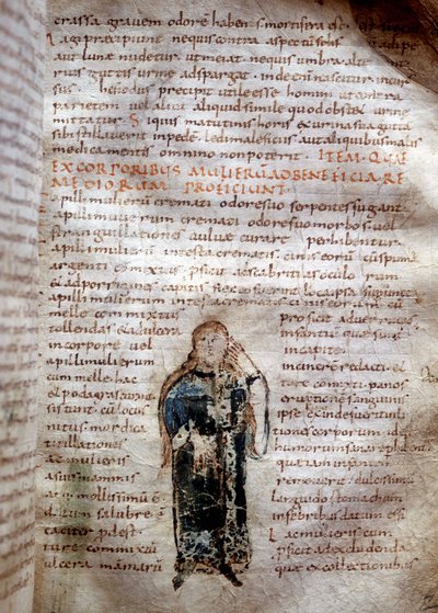 Manuskriptsida från "Om de enkla drogerna" av Claude Galien (Klaudios Galenos eller Claudio Galeno eller Claudius Galenus eller Galen, v. 131 - v. 201). 8:e eller 9:e århundradet. Styrelse i Lucca. av Unknown artist