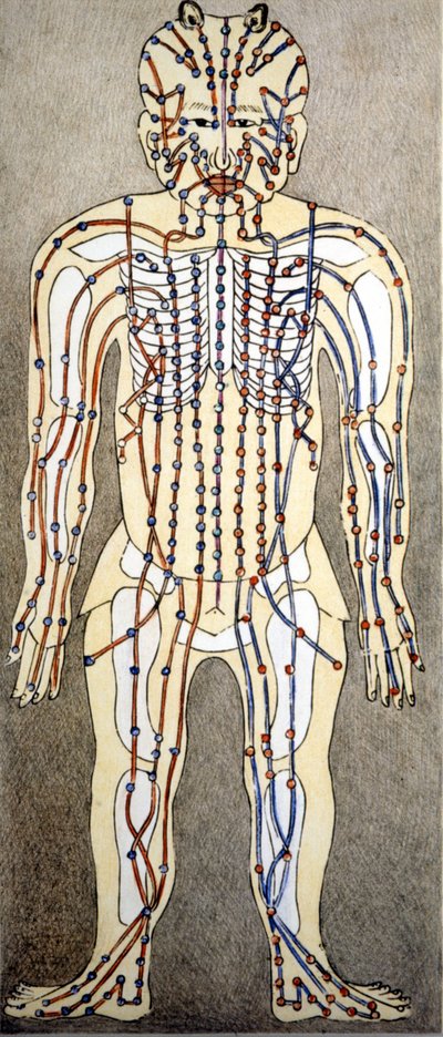 Medicin. Diagram över människokroppen från en avhandling om akupunktur. Privatbibliotek, Milano. av Unknown artist