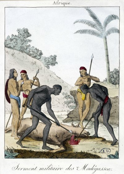Militär ed av invånarna på Madagaskar (slaktade en oxe) - grv. 1811 av Unknown artist