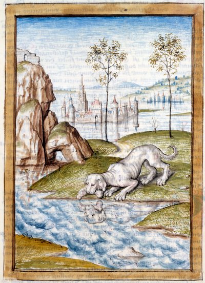 Miniatyrdjur från en tysk översättning av fablerna om "" Kalila (Calila) och Dimna"" av Bidpai. Chantilly från 1400-talet, Musee Conde av Unknown artist