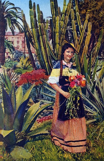 Nicoise. Vykort från omkring 1930. Kommunarkivet i Nice. av Unknown Artist