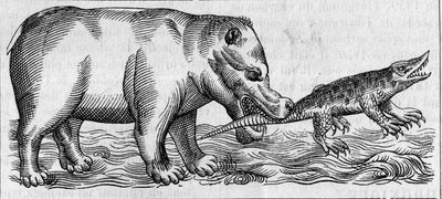 Nilen flodhäst. (Efter Pierre Belon av Unknown artist