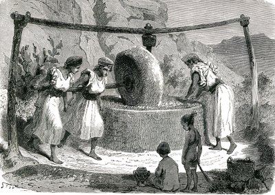 Olivkvarn i Algeriet 1885 av Unknown artist
