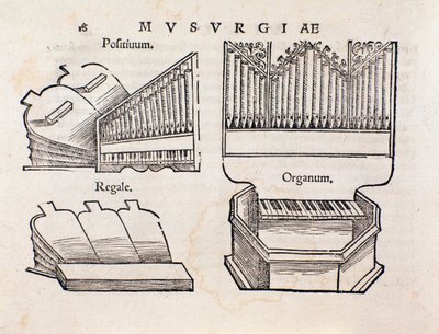 Organrepresentation. Sidan hämtad från Musurgias praktiska manual för musik av Unknown artist