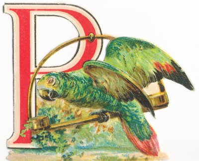 P: Parrotswed av Unknown artist