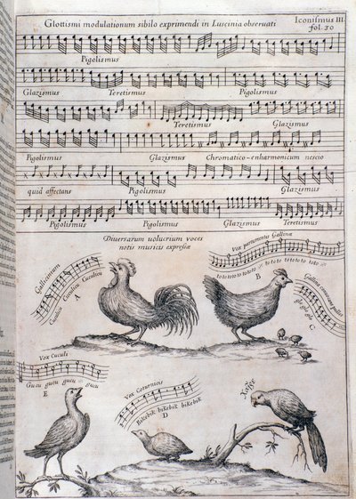 Sida från Musurgia (1650) av Unknown artist