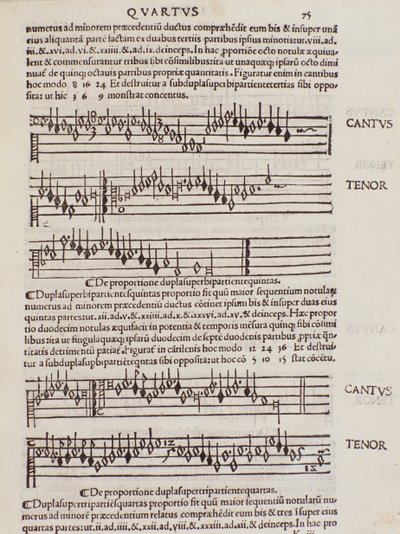 Sidan hämtad från Franchino Gaffurios Practice of Music av Unknown artist