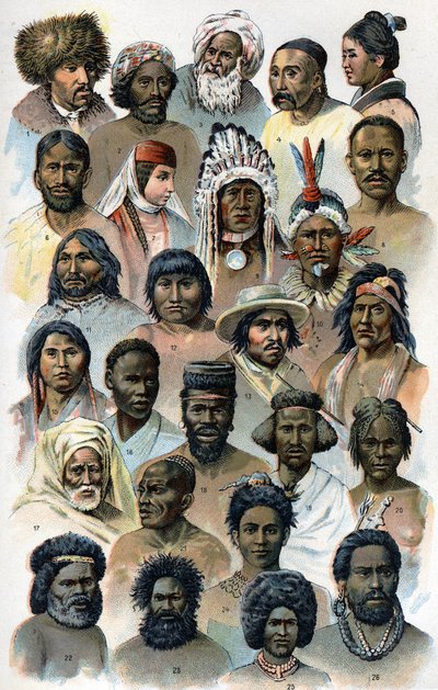 Physiognomy and shape of the head of foreign human races.””The new natural medicine”” av F.E. Bilz.1898. av Unknown artist