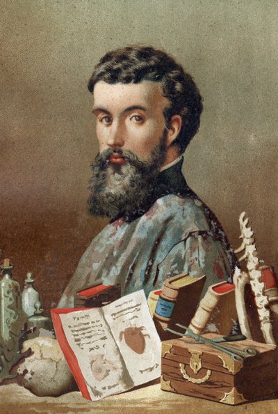 Porträtt av André Vésale (1514-1564), holländsk anatom (på latin: Andrea Vesalius, på holländska: Andries Van Wesel) från "Science and its Men" av Louis Figuier. Barcelona 1881. av Unknown artist