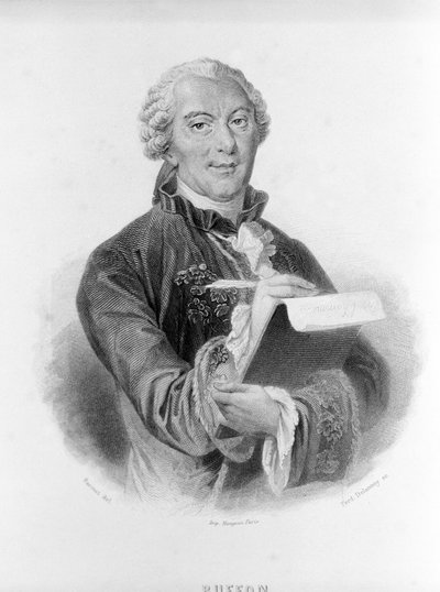 Porträtt av Buffon (1707 - 1788), fransk naturforskare och författare. av Unknown artist