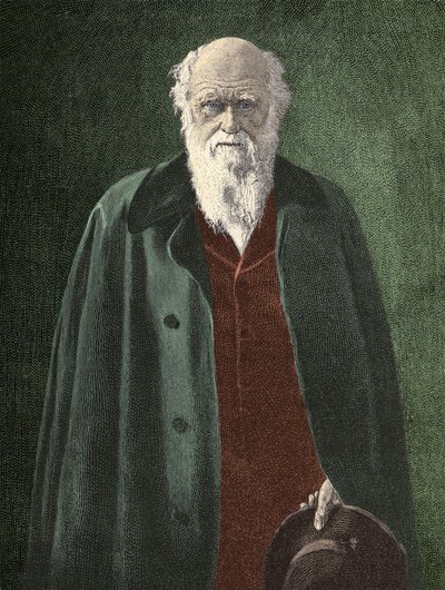 Porträtt av Charles Darwin (1809 - 1882) av Unknown artist