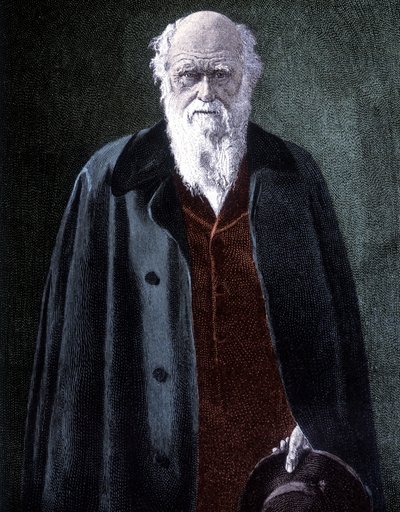Porträtt av Charles Darwin, brittisk naturforskare (1809 - 1882) av Unknown artist