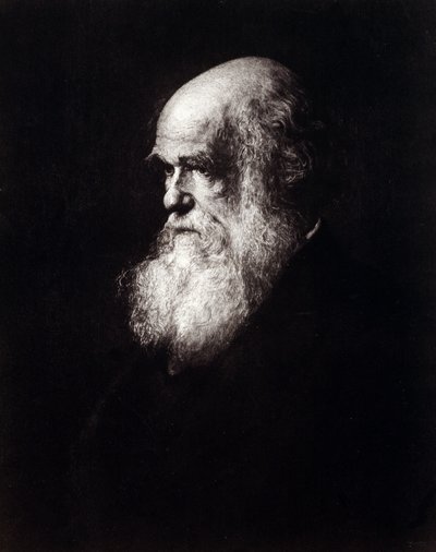 Porträtt av Charles Robert Darwin (1809 - 1882) av Unknown artist