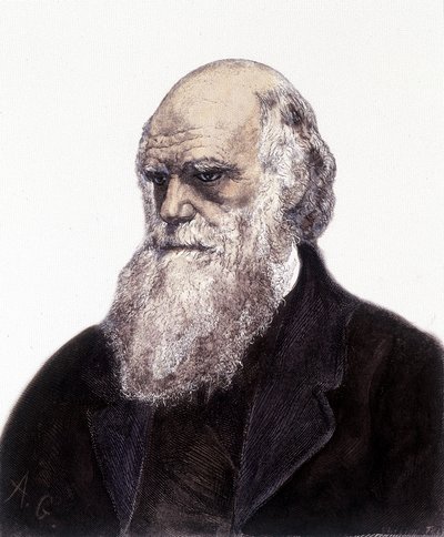 Porträtt av Charles Robert Darwin, brittisk naturforskare (1809-1882) av Unknown artist