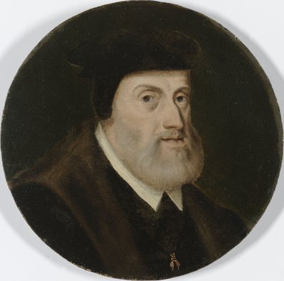 Porträtt av Karl V, ca 1550 (olja på panel) av Unknown artist